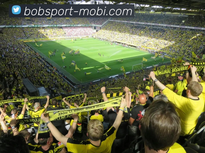 BOB体育平台生态图