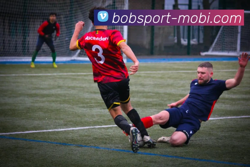 BOB体育APP 封面图